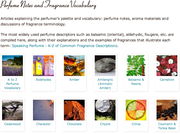 Perfume Notes